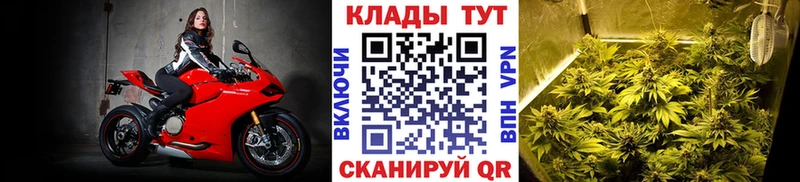 Купить наркотики Волхов ЭКСТАЗИ  МЕТАДОН  ГАШИШ  Меф  АМФ  Марихуана 