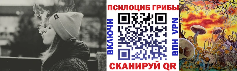 что такое   даркнет Telegram  Галлюциногенные грибы мицелий  Волхов 