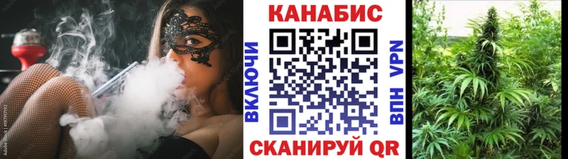 Бошки марихуана план  Волхов 